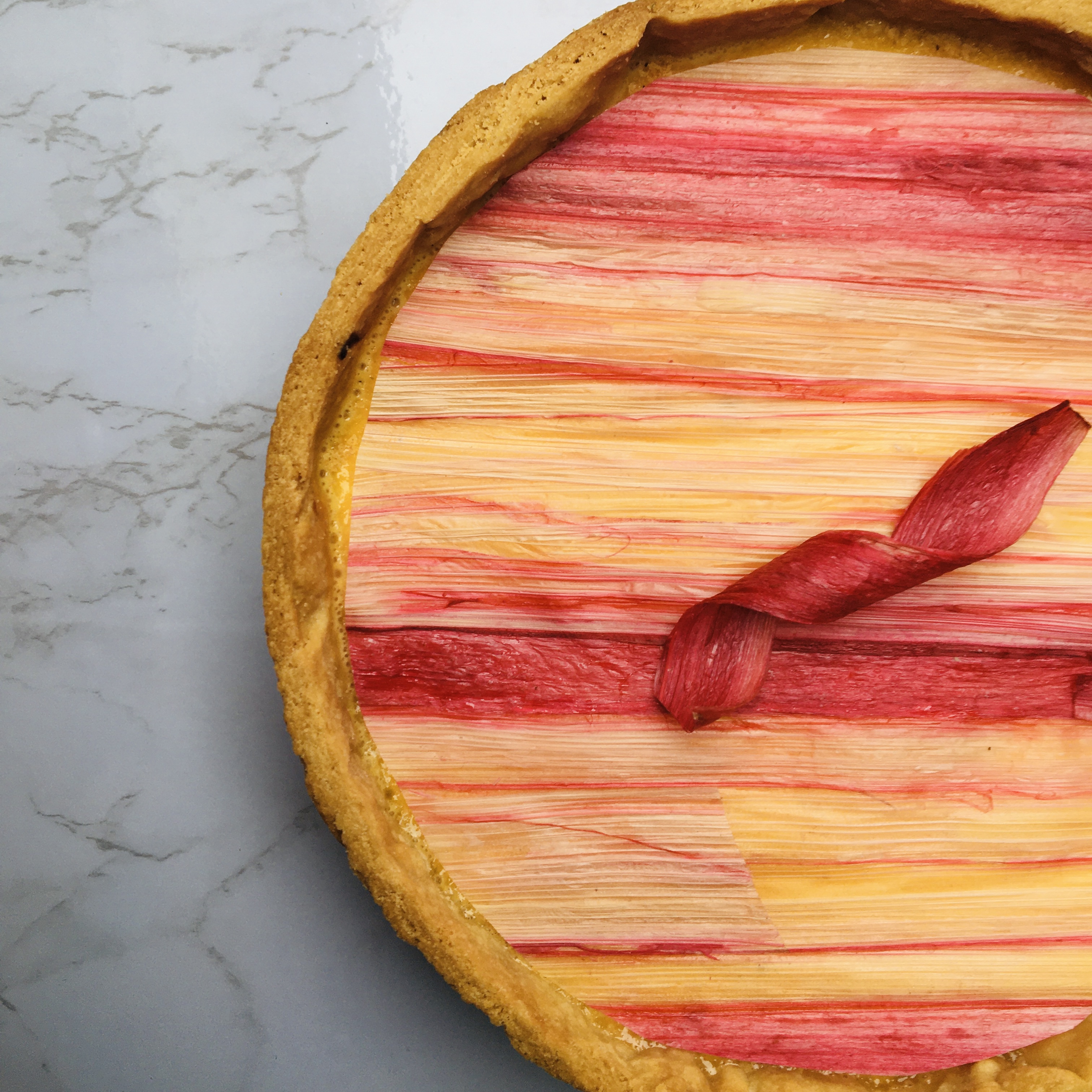 rhubarb and custard tart